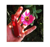 Scyzoryk Victorinox SwissChamp 1.6795 Scyzoryk Victorinox SwissChamp 1.6795