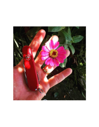 Scyzoryk Victorinox SwissChamp 1.6795