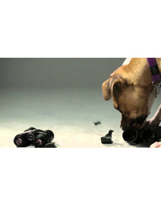 Kolimator Vortex Sparc AR - wyjątkowe możliwości w 1x22