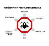 Balsam kojący Mugga na ukąszenia i poparzenia 50 ml Balsam kojący Mugga na ukąszenia i poparzenia 50 ml