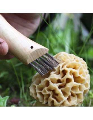 Nóż Opinel 8 na grzyby - idealny do outdooru!